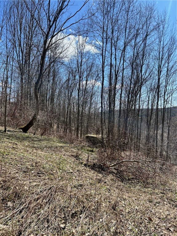 512 County Highway 18 Butternuts, NY 13776 - Photo 9 of 23