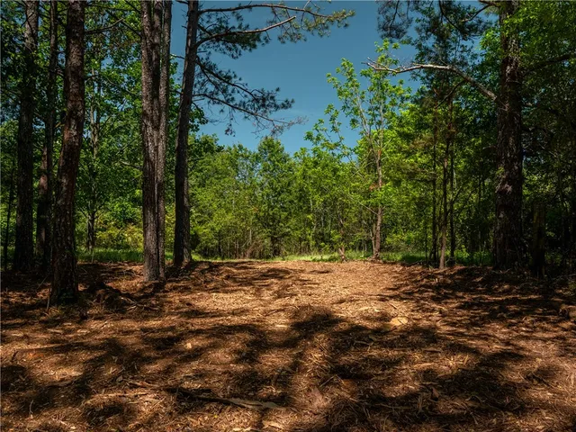 $299,000 | 11 Moorefield Memorial Highway, Liberty, SC 29657