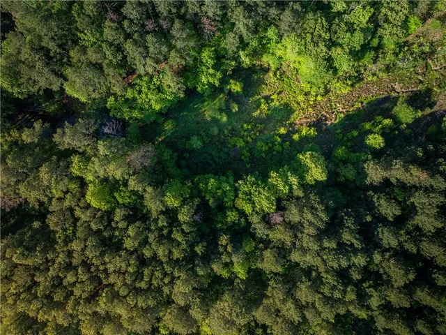 $299,000 | 11 Moorefield Memorial Highway, Liberty, SC 29657