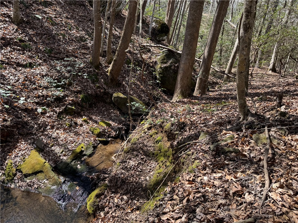 0 Golden Hickory Drive Anderson, SC 29621 - Photo 13 of 22 This serene woodland lot features a gentle stream, mature trees, and natural mossy rock formations.