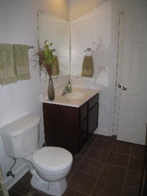4150 South Indiana Avenue, Unit 1N Chicago, IL 60653 - Photo 11 of 13