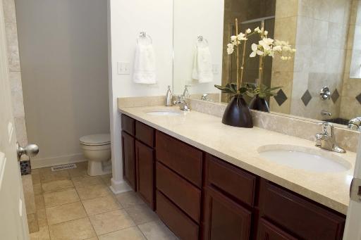 4150 South Indiana Avenue, Unit 1N Chicago, IL 60653 - Photo 3 of 13