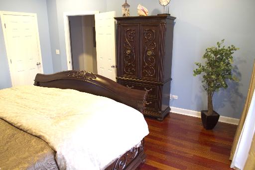 4150 South Indiana Avenue, Unit 1N Chicago, IL 60653 - Photo 6 of 13