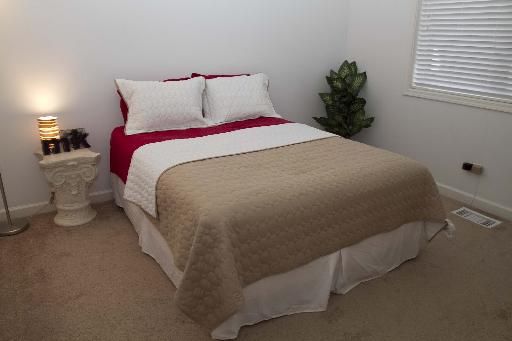 4150 South Indiana Avenue, Unit 1N Chicago, IL 60653 - Photo 9 of 13