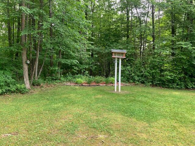 4559 Scott Road Hubbard Lake, MI 49747 - Photo 43 of 60 Gallery Image 43