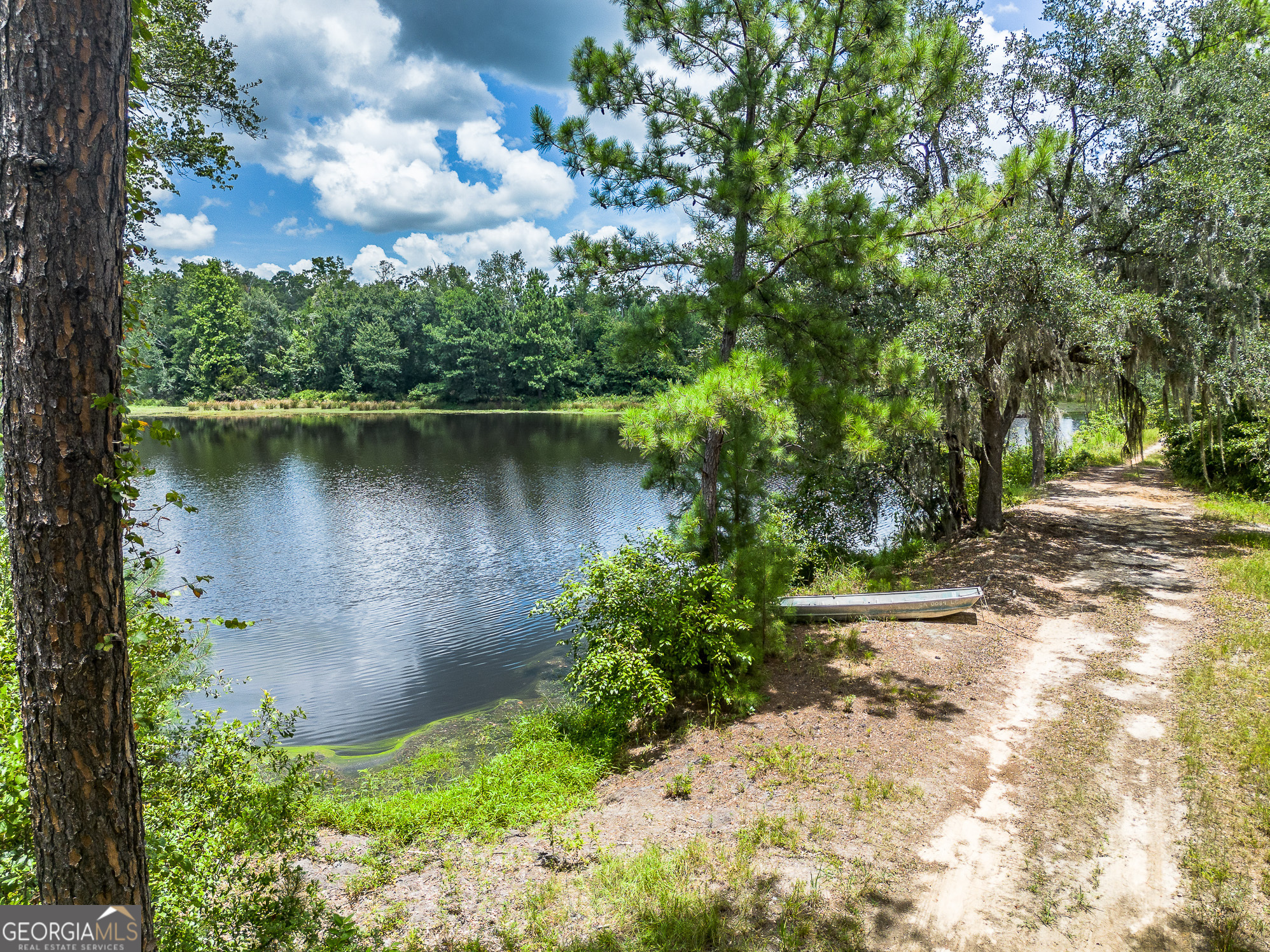 0 Nesbitt Road Jesup, GA 31545 - Photo 20 of 35 Gallery Image 20