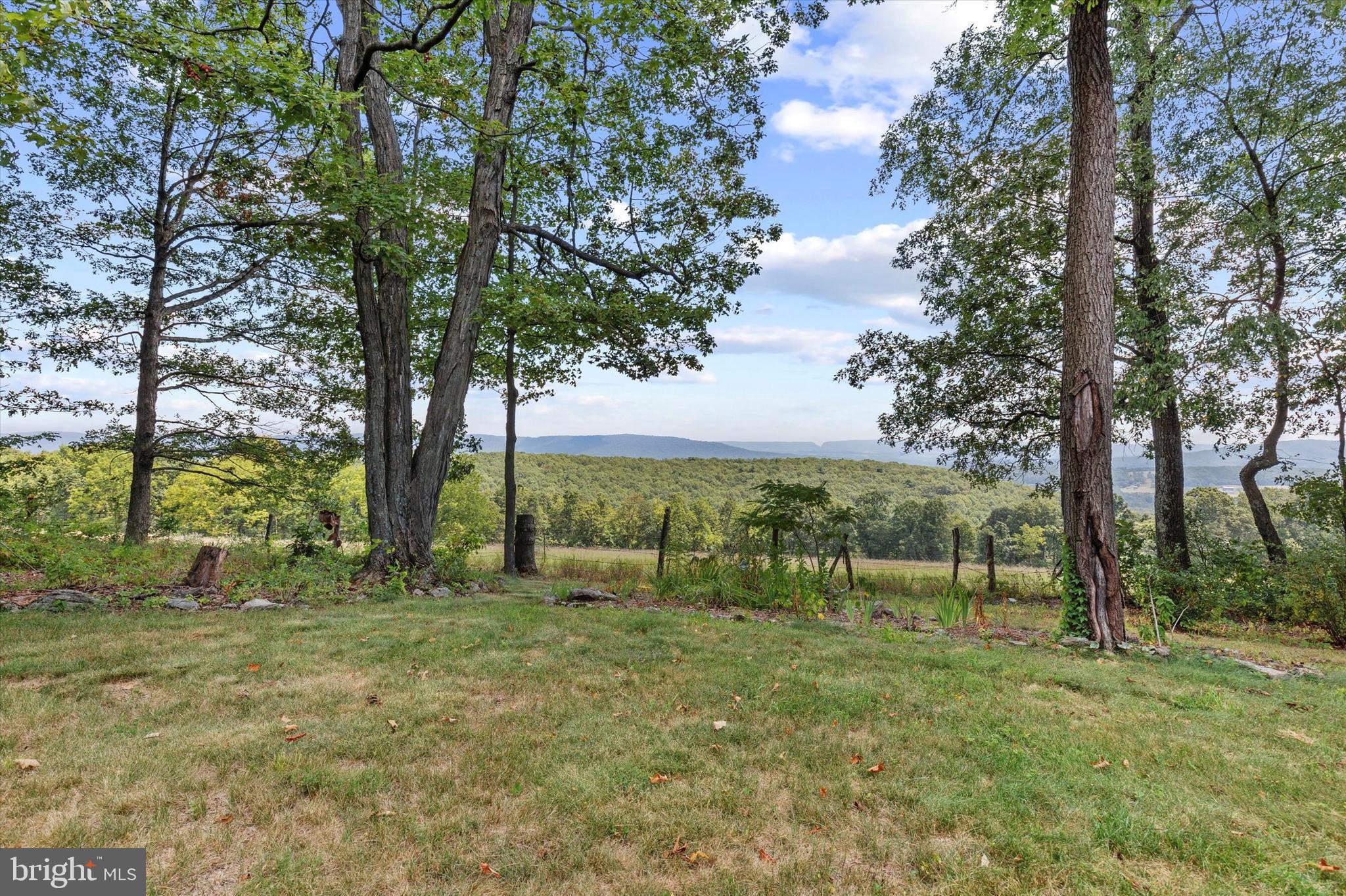 474 Blackberry Lick Road Artemas, PA 17211 - Photo 50 of 61