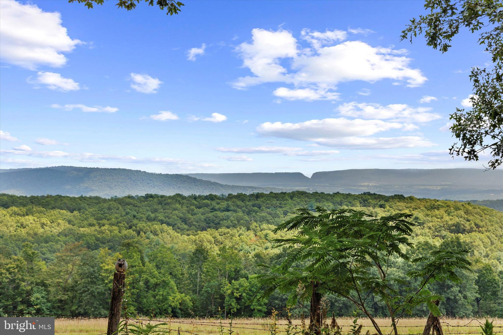 474 Blackberry Lick Road Artemas, PA 17211 - Photo 51 of 61