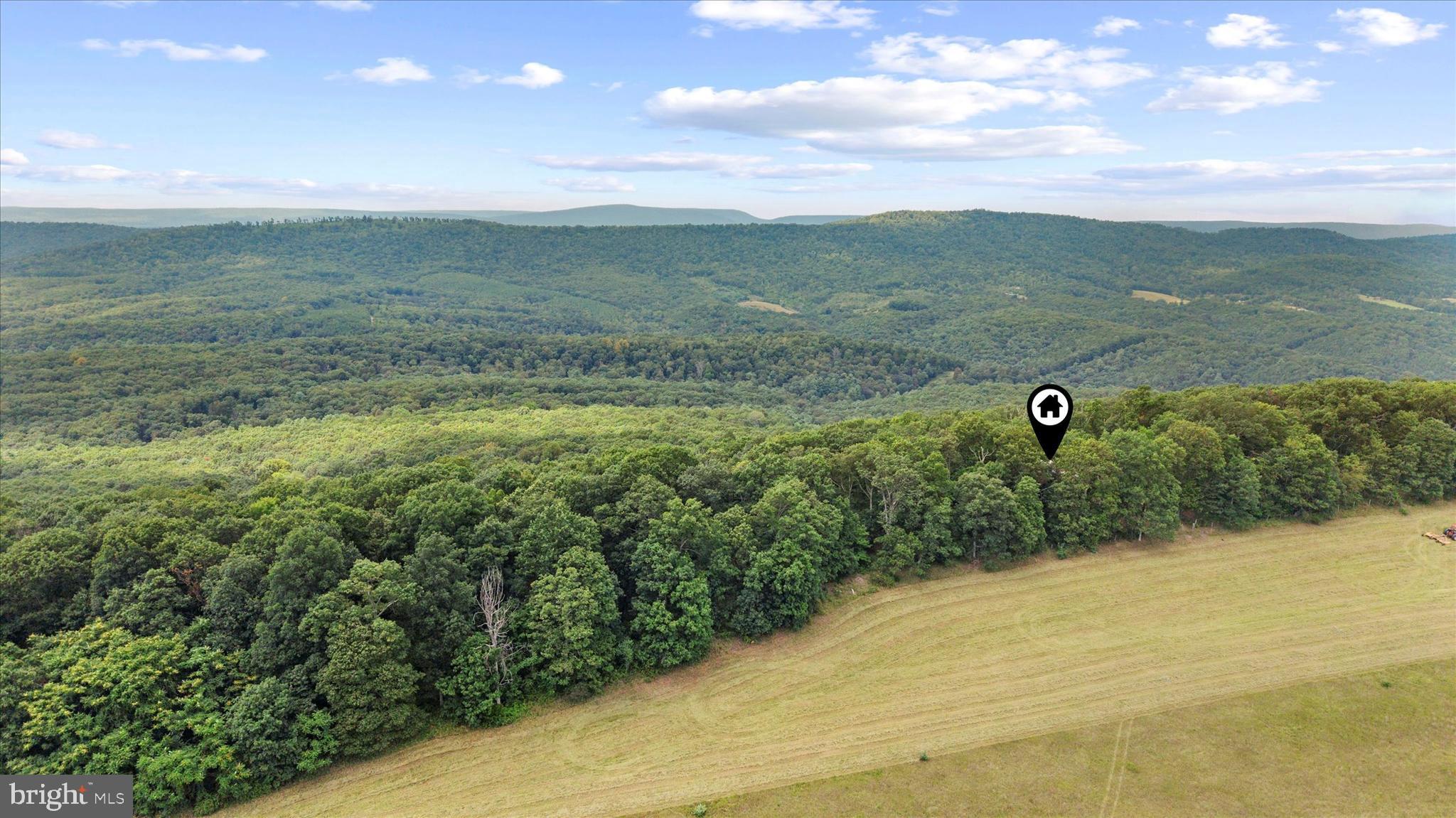 474 Blackberry Lick Road Artemas, PA 17211 - Photo 52 of 61