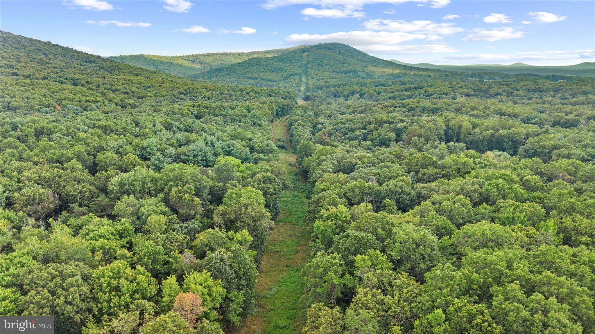 474 Blackberry Lick Road Artemas, PA 17211 - Photo 58 of 61