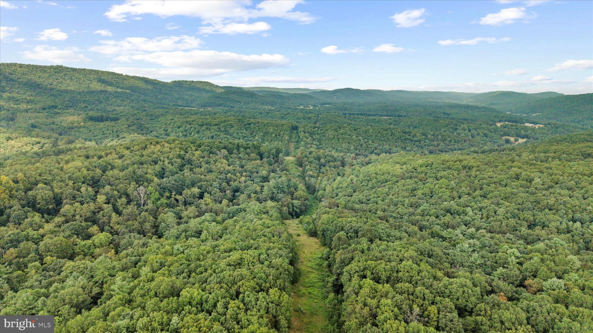 474 Blackberry Lick Road Artemas, PA 17211 - Photo 59 of 61