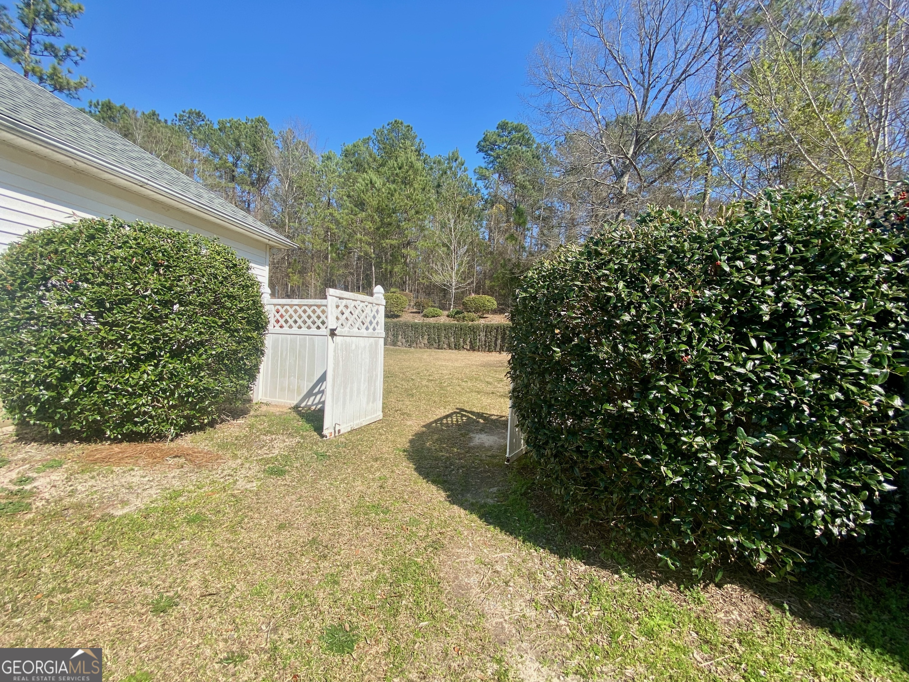 103 Fawn Court Byron, GA 31008 - Photo 17 of 23 a view of a yard with plants and a tree