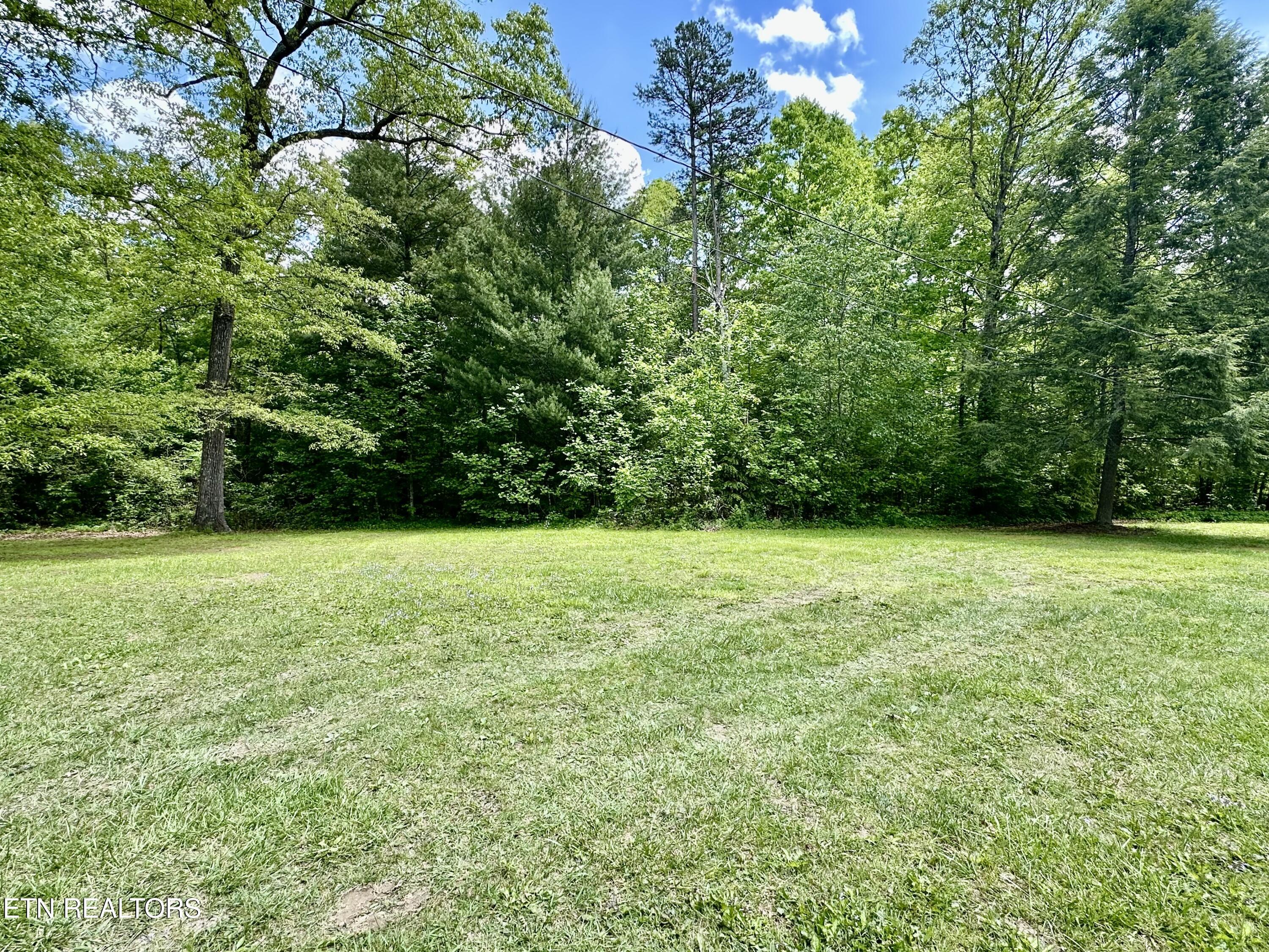 179 Human Drive Lancing, TN 37770 - Photo 20 of 46 IMG_9358