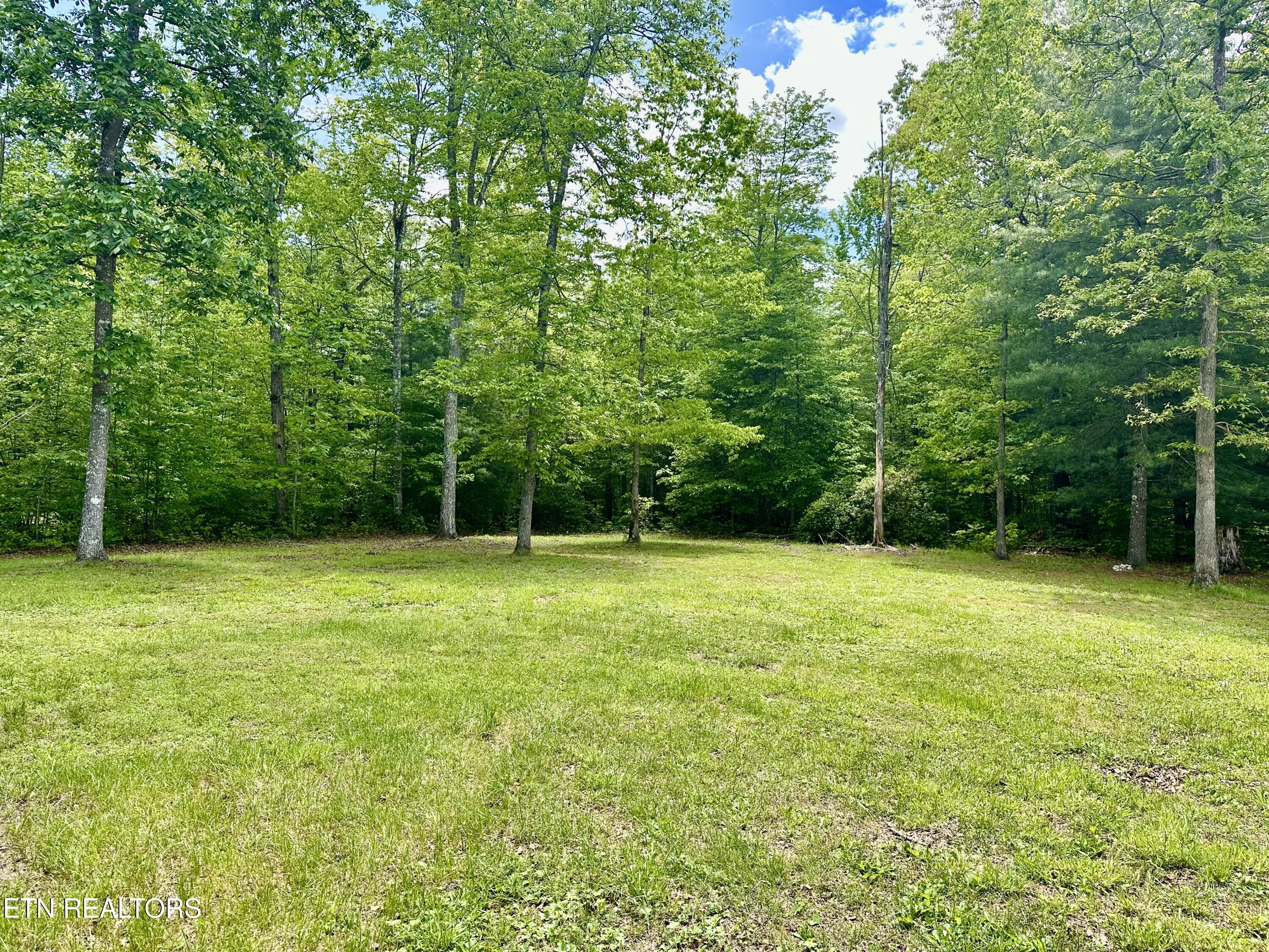 179 Human Drive Lancing, TN 37770 - Photo 22 of 46 IMG_9364