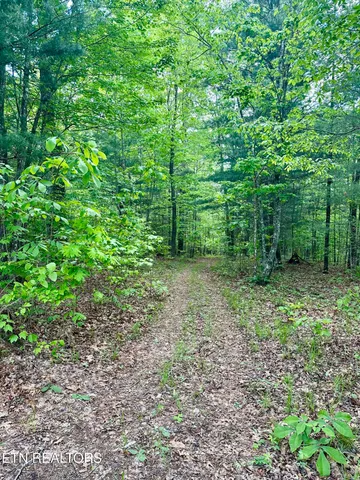 $295,000 | 179 Human Drive, Lancing, TN 37770