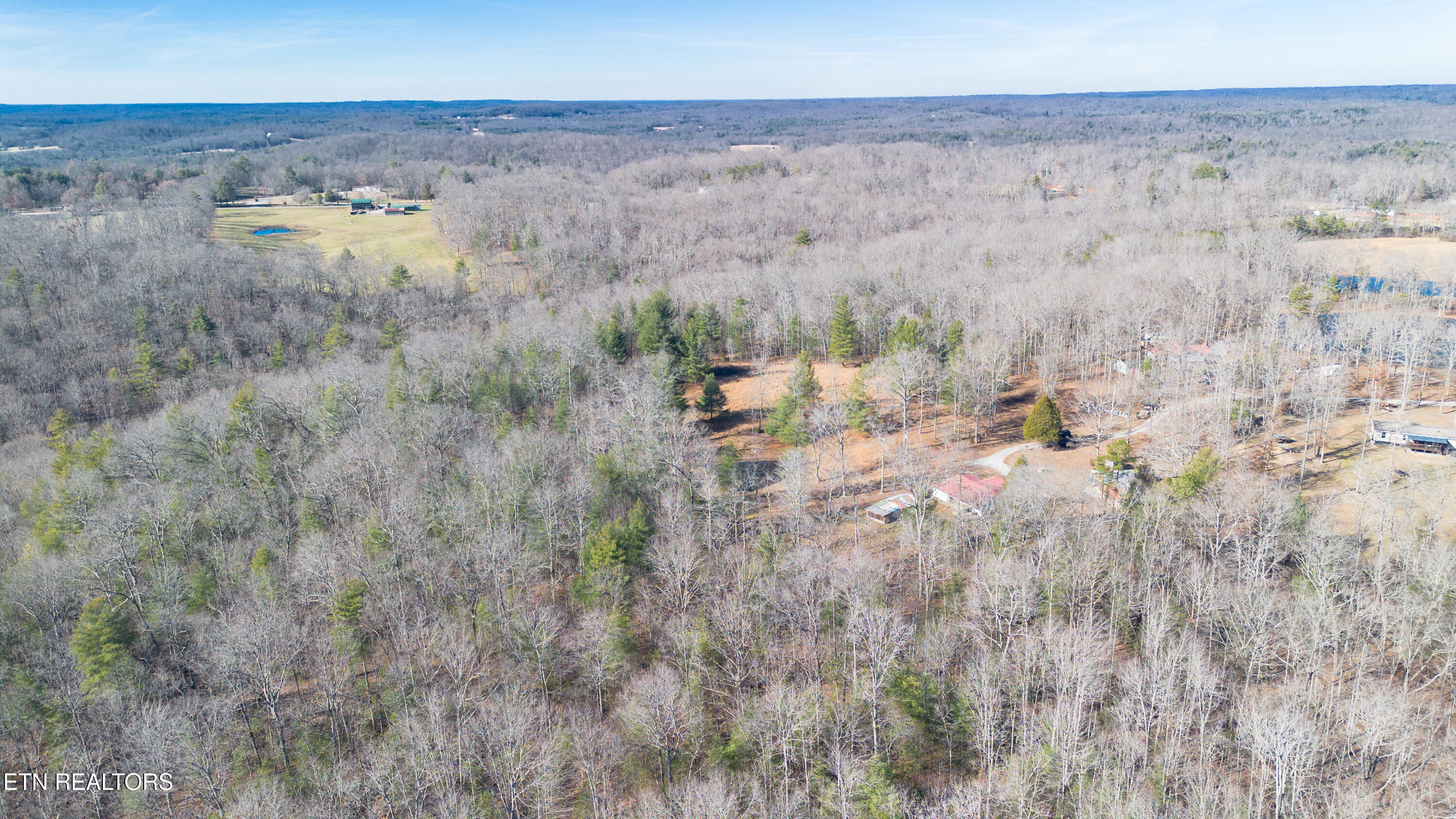 179 Human Drive Lancing, TN 37770 - Photo 25 of 45 179 Human Dr-4