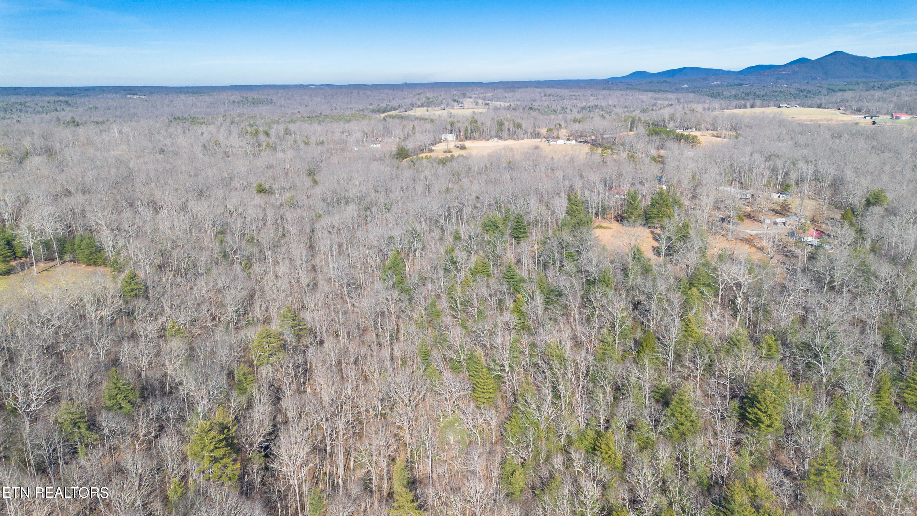 179 Human Drive Lancing, TN 37770 - Photo 33 of 46 179 Human Dr-12