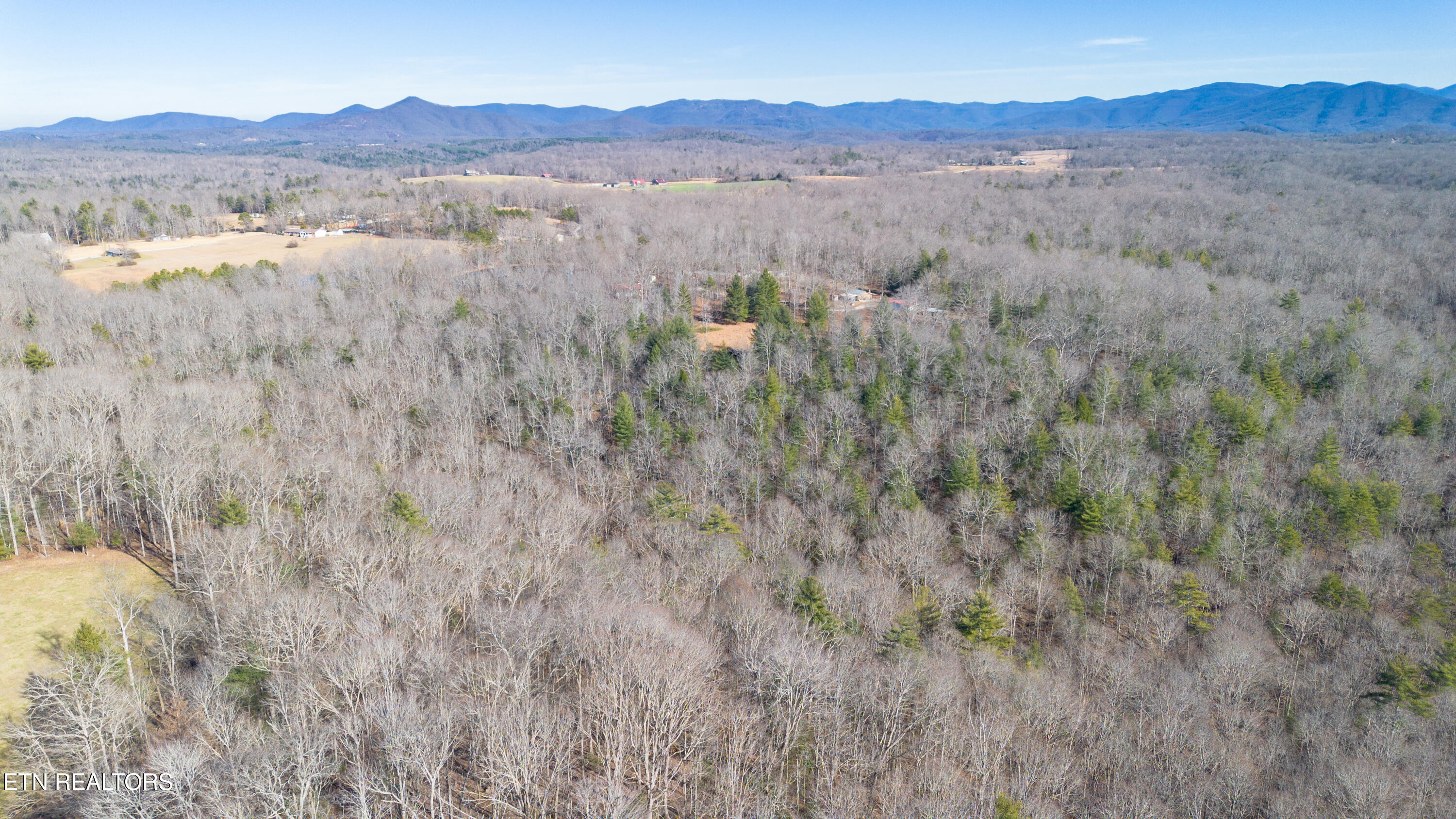 179 Human Drive Lancing, TN 37770 - Photo 34 of 46 179 Human Dr-16