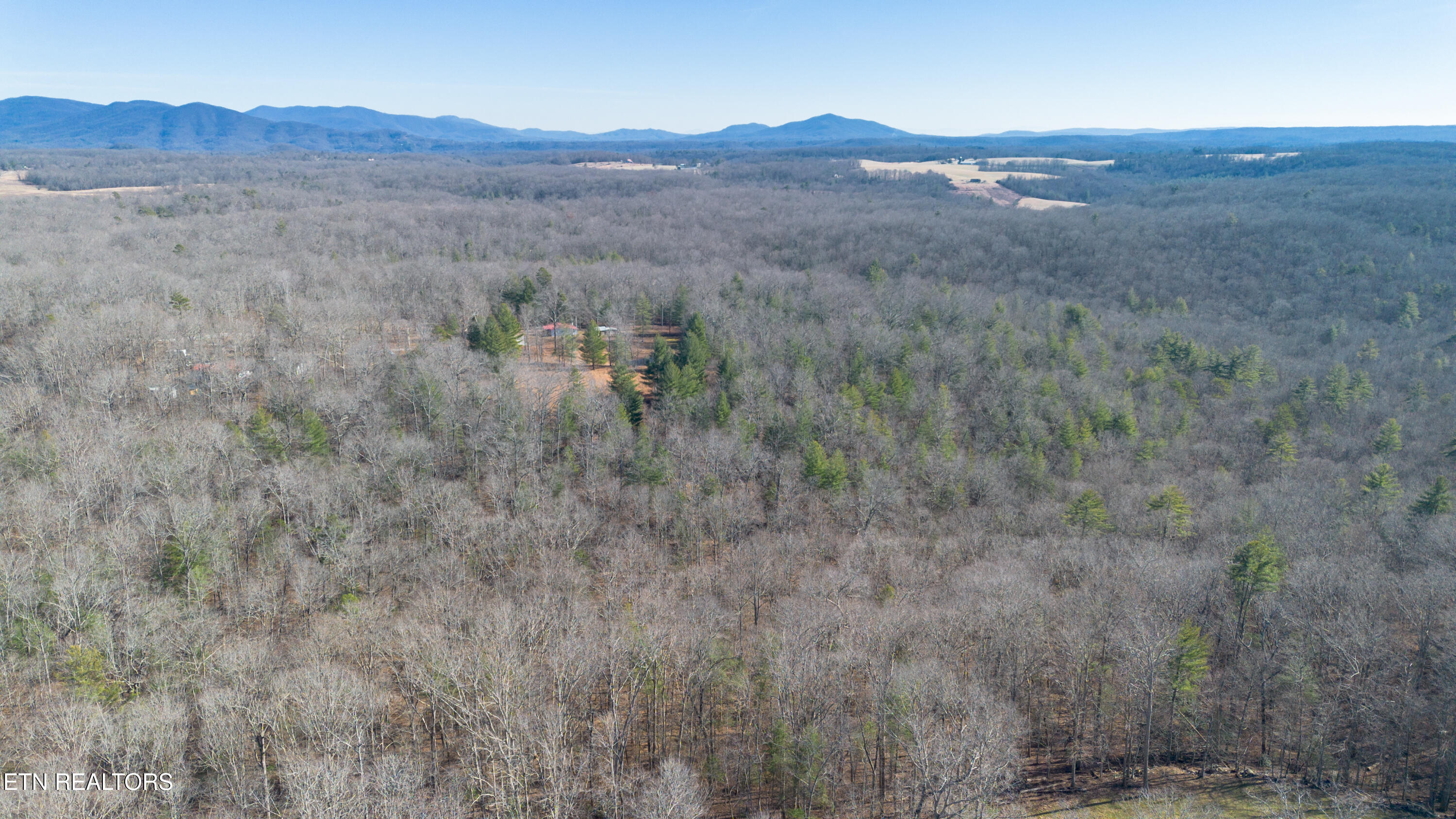 179 Human Drive Lancing, TN 37770 - Photo 34 of 45 179 Human Dr-21