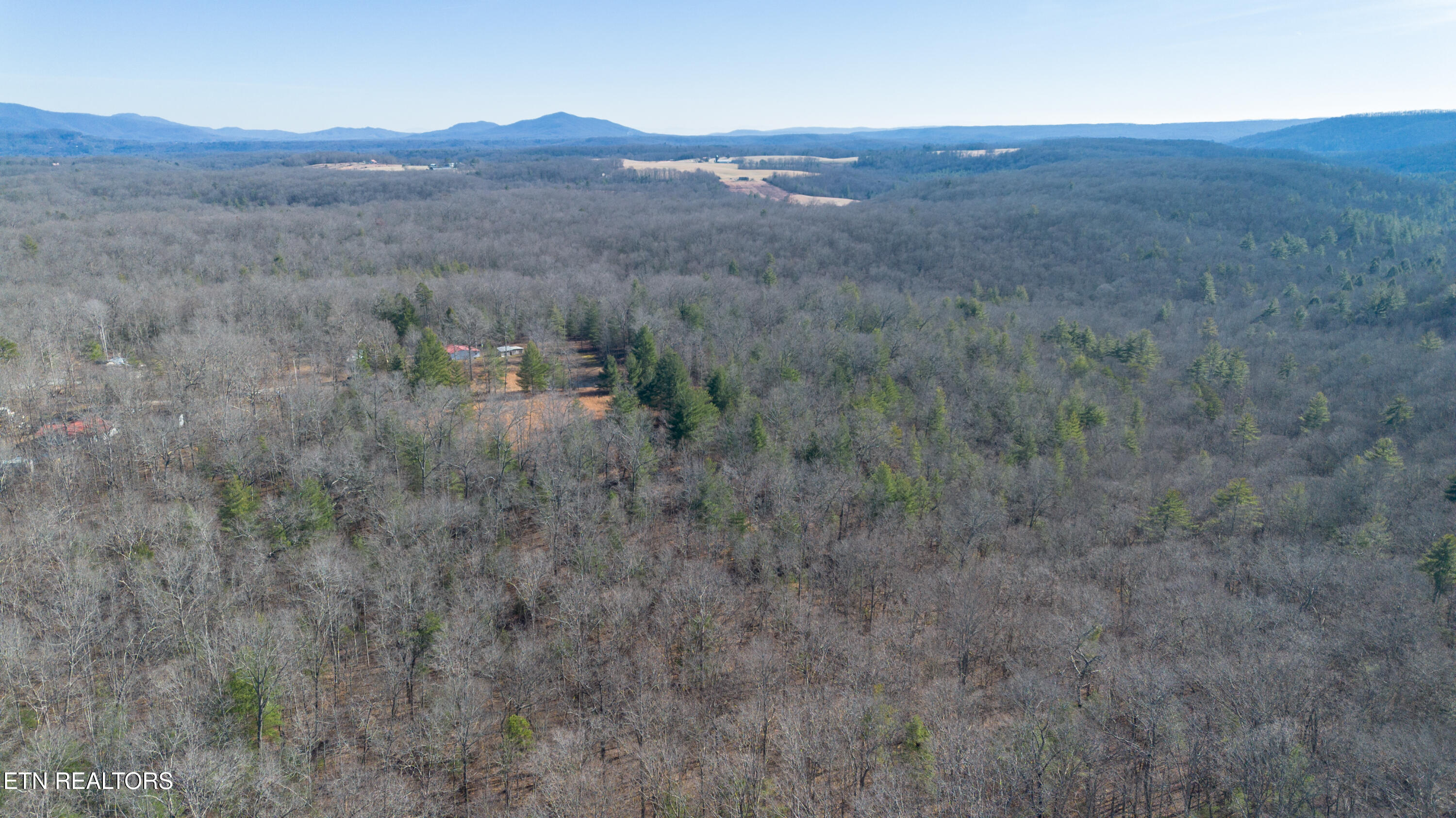 179 Human Drive Lancing, TN 37770 - Photo 36 of 46 179 Human Dr-23