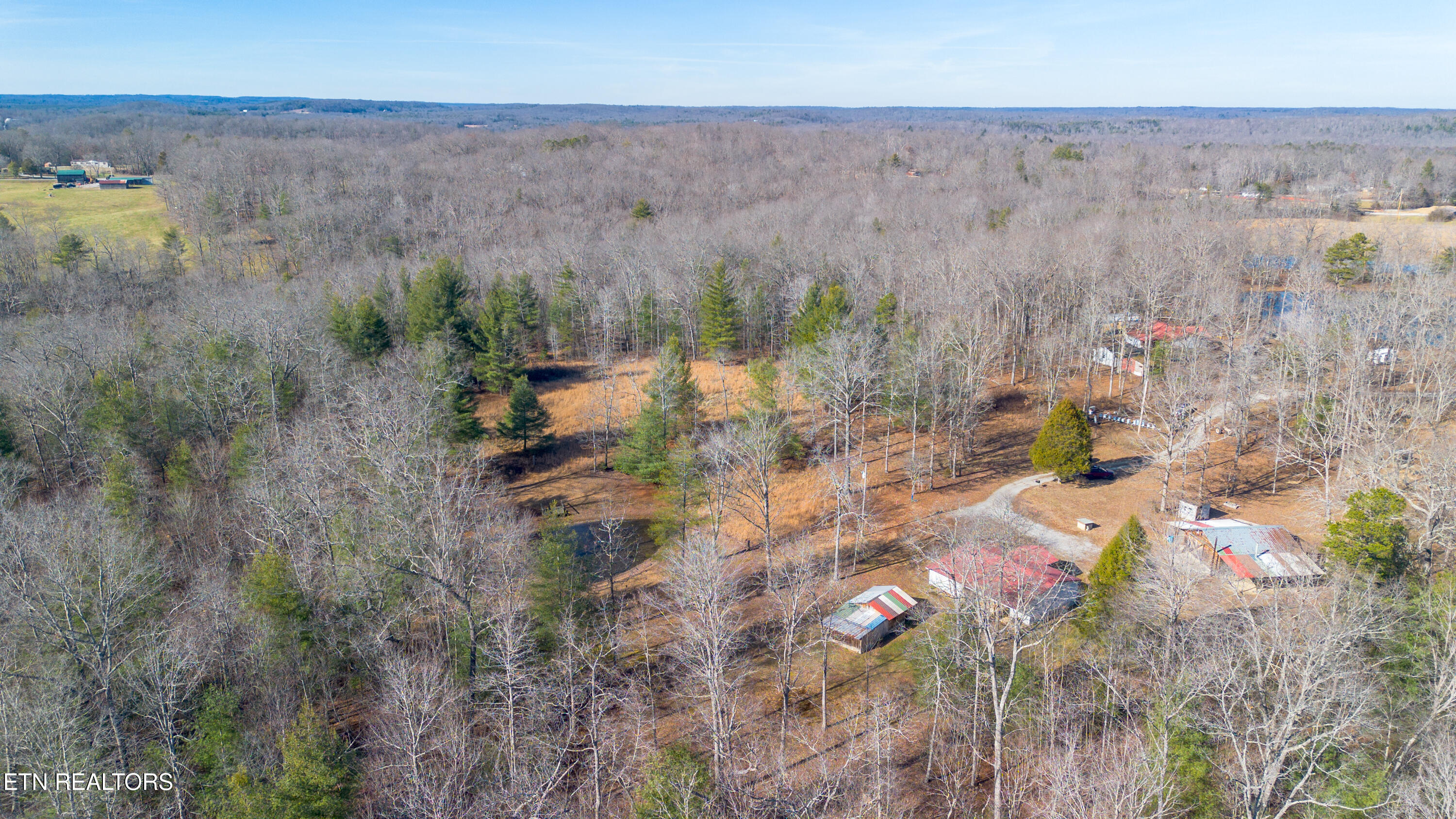 179 Human Drive Lancing, TN 37770 - Photo 38 of 45 179 Human Dr-41