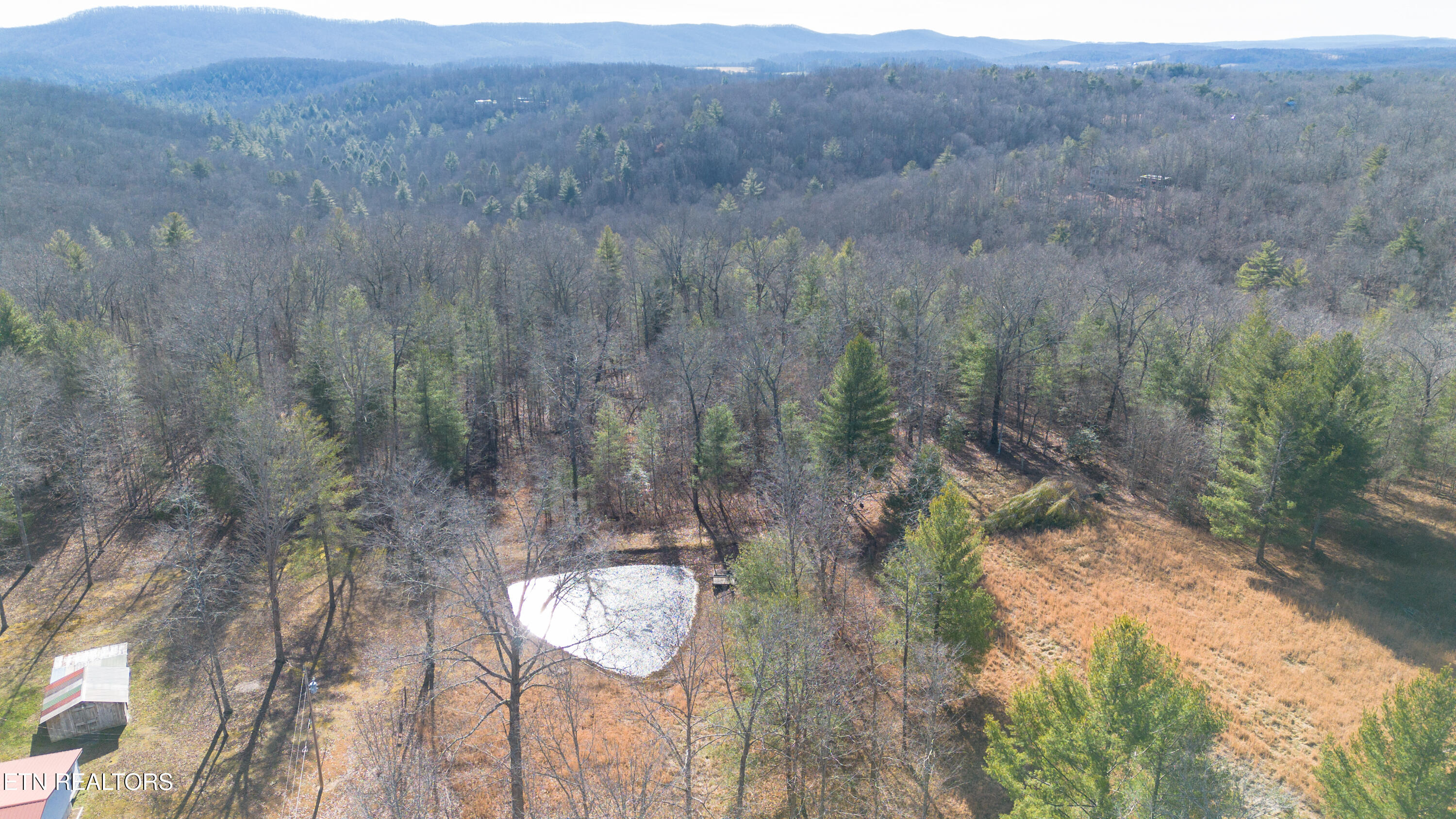 179 Human Drive Lancing, TN 37770 - Photo 41 of 46 179 Human Dr-45