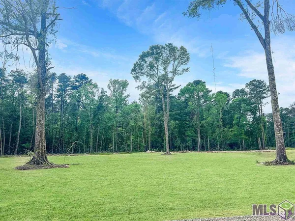 $61,500 | Ek-3 Springfield Road, Walker, LA 70785