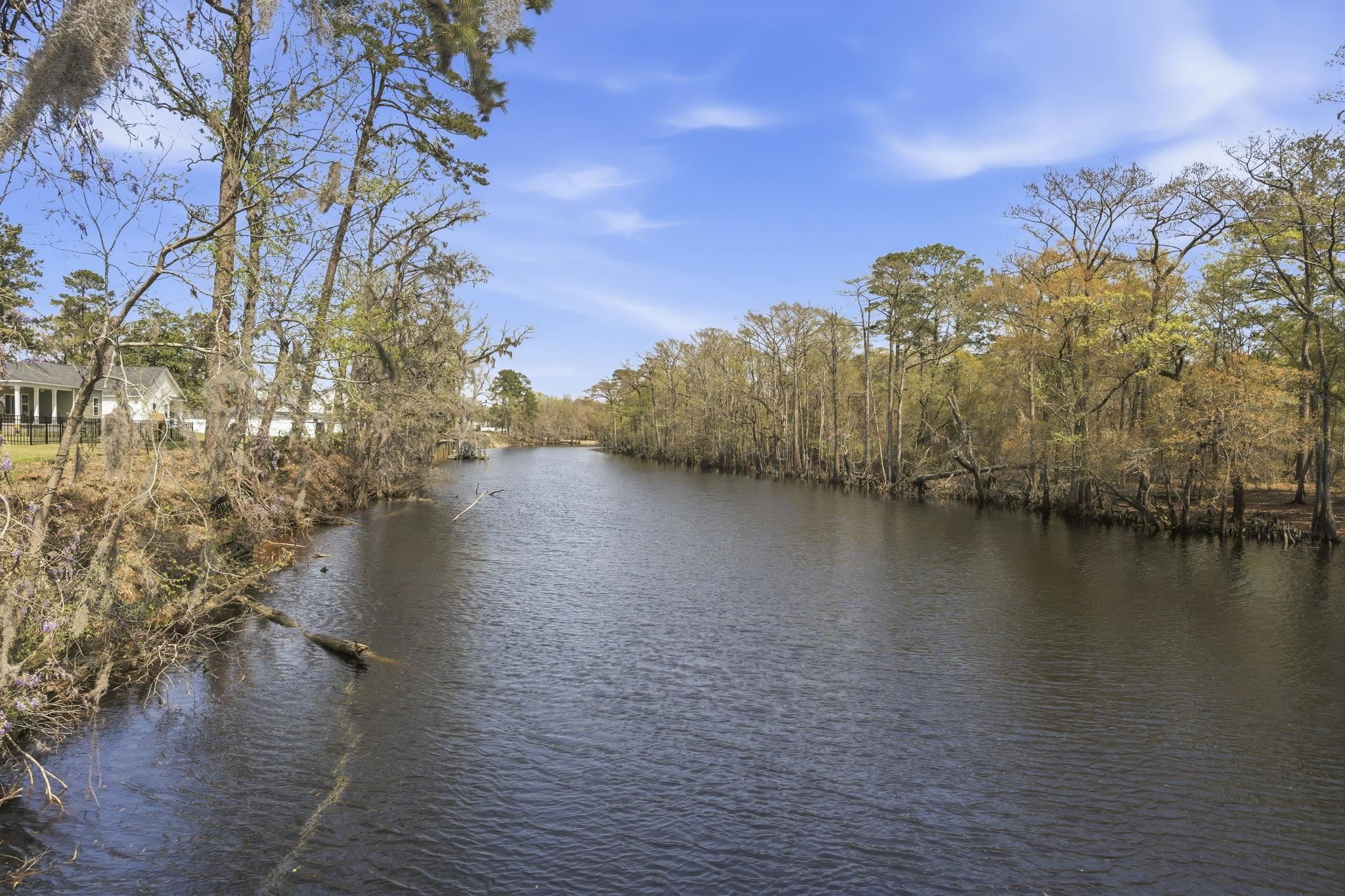 464 Honeyhill Loop Conway, SC 29526 - Photo 43 of 45