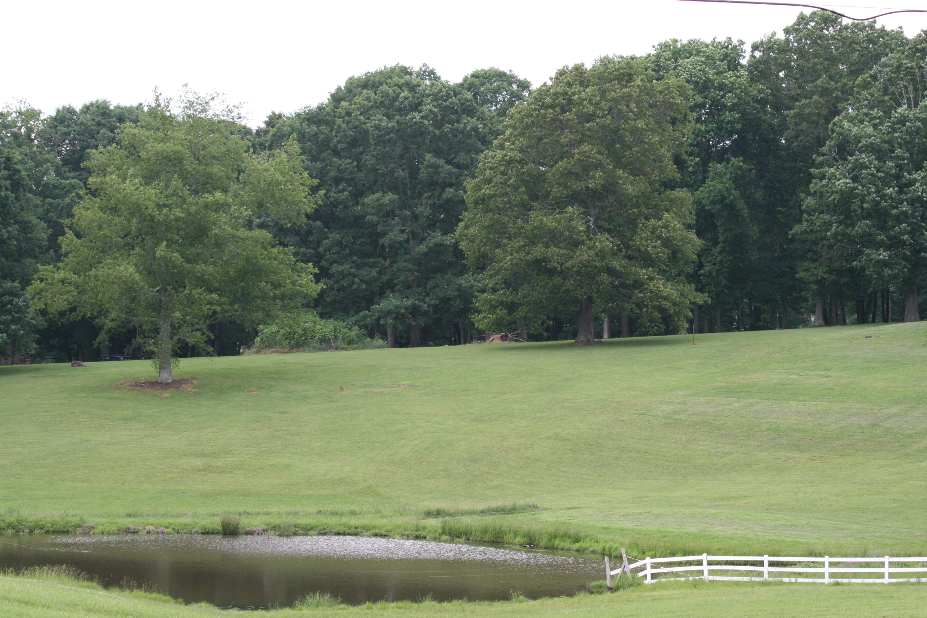 Hickory Ridge Road Lewisburg, WV 24901 - Photo 1 of 9 Gallery Image 1