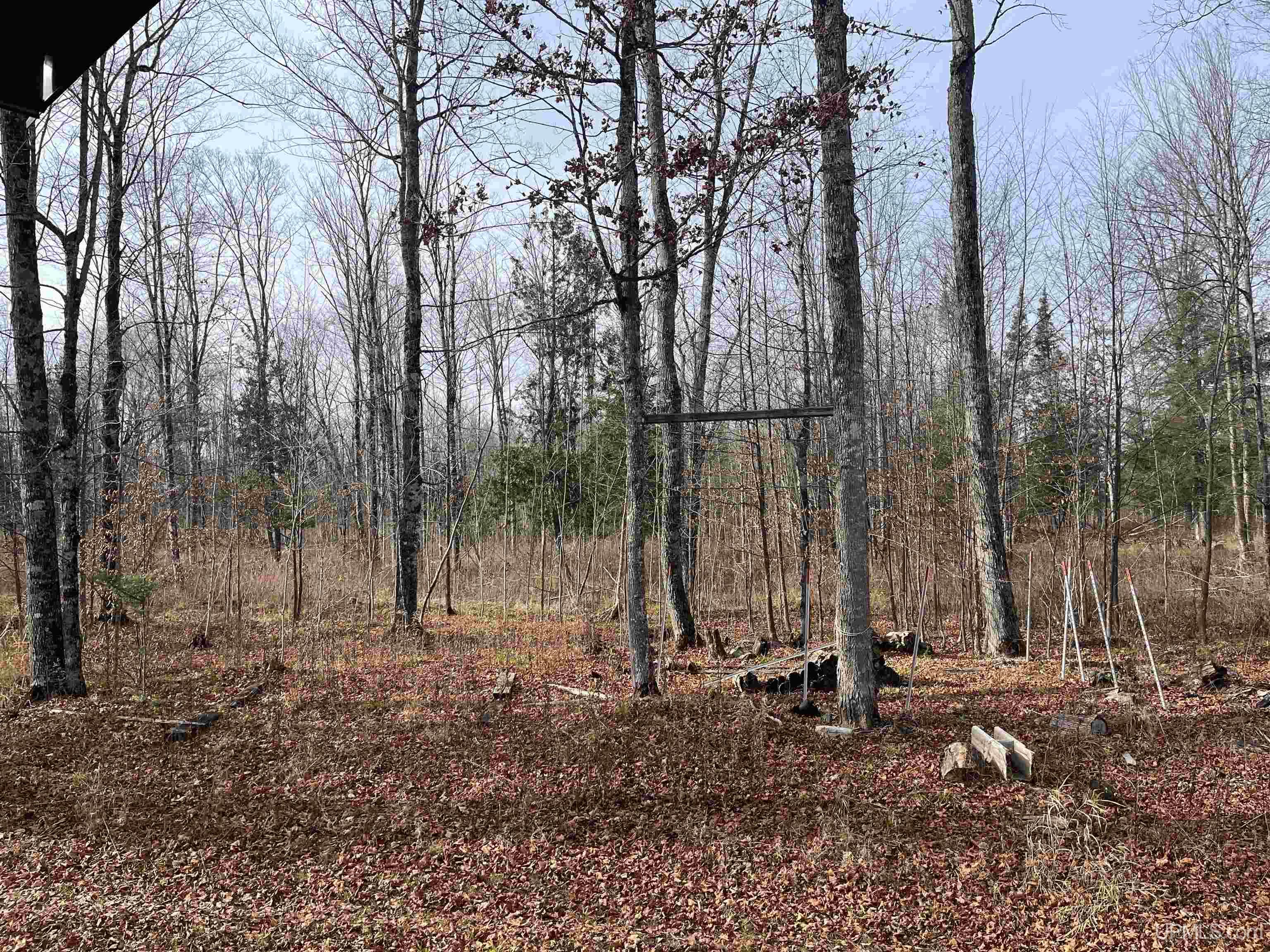 120-acres Off County Sk Road Cornell, MI 49818 - Photo 28 of 40