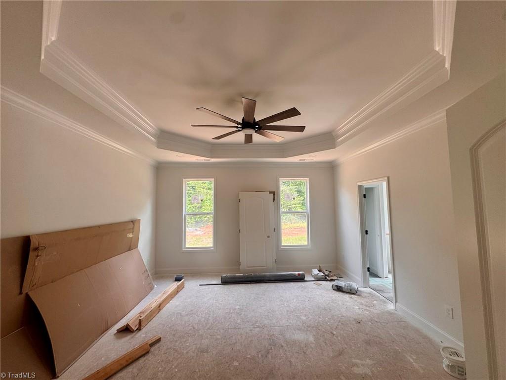 266 Mt Zion Church Road Stokesdale, NC 27357 - Photo 16 of 29 primary bedroom with trey ceiling