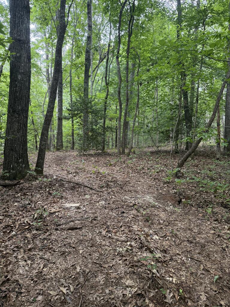0 Henson Road Hayesville, NC 28904 - Photo 20 of 28 Gallery Image 20