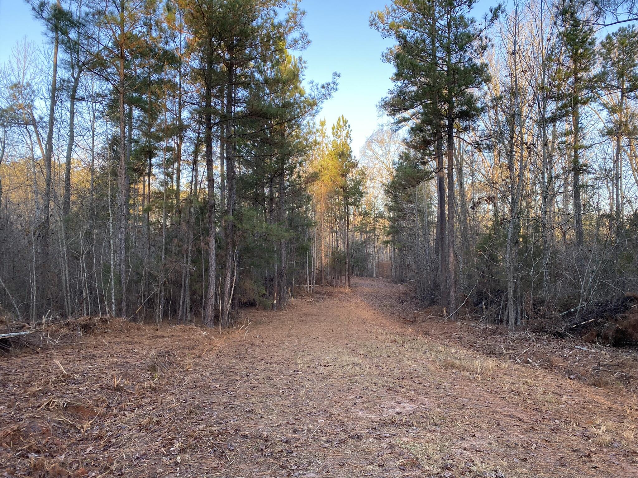 Batesburg-leesville Sc 29006 Road Leesville, SC 29070 - Photo 20 of 22
