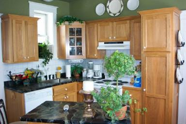 Great Kitchen with wonderful cabinet spa