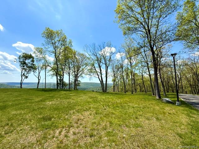 125 Mapes Road Barryville, NY 12719 - Photo 30 of 37 a view of a field with trees