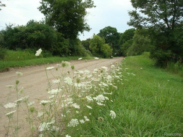 0 Lassier Road Romeo, MI 48065 - Photo 2 of 5 Peaceful Area.jpg