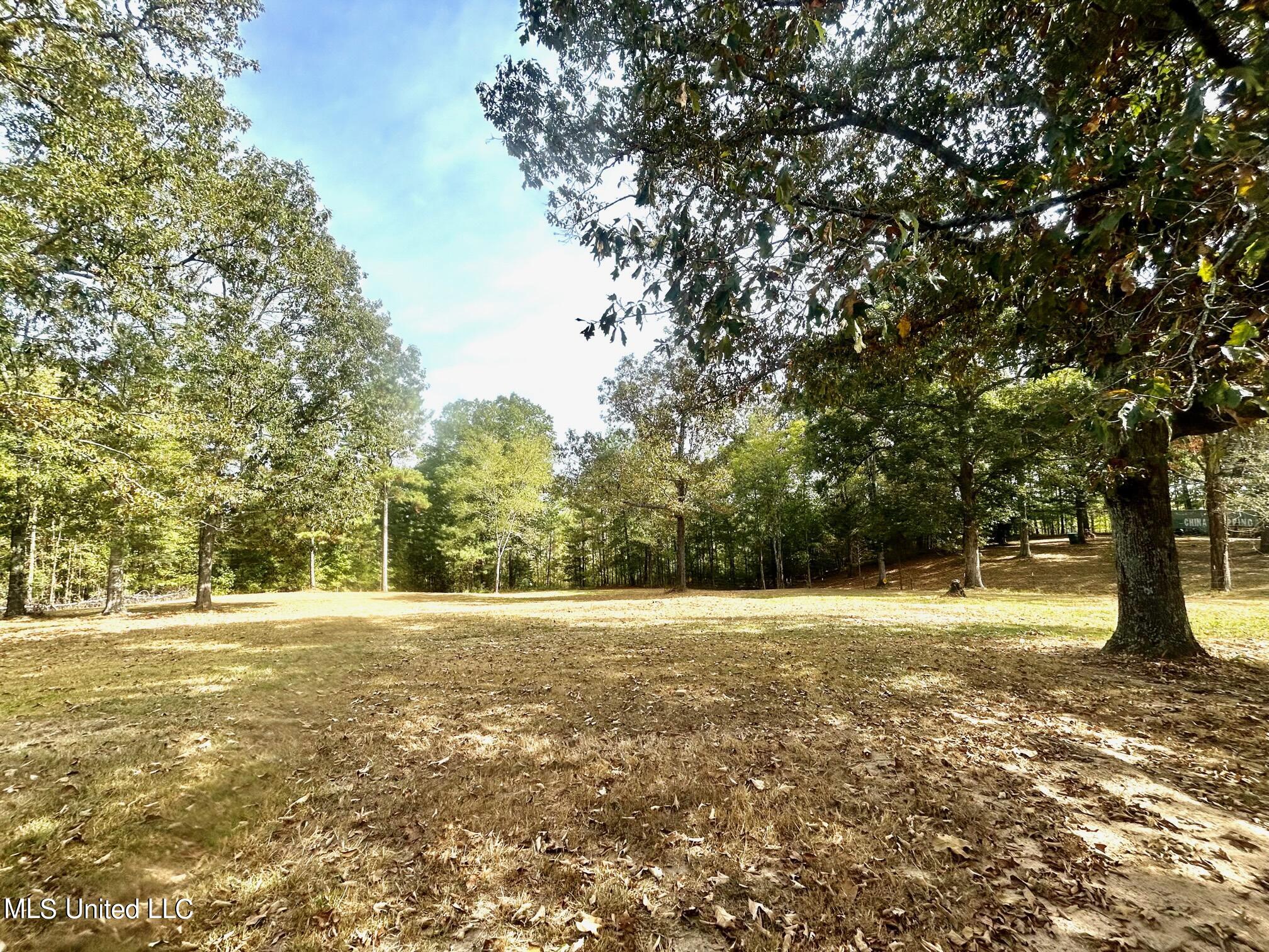 253 Horn Road Carthage, MS 39051 - Photo 6 of 29 IMG_4389
