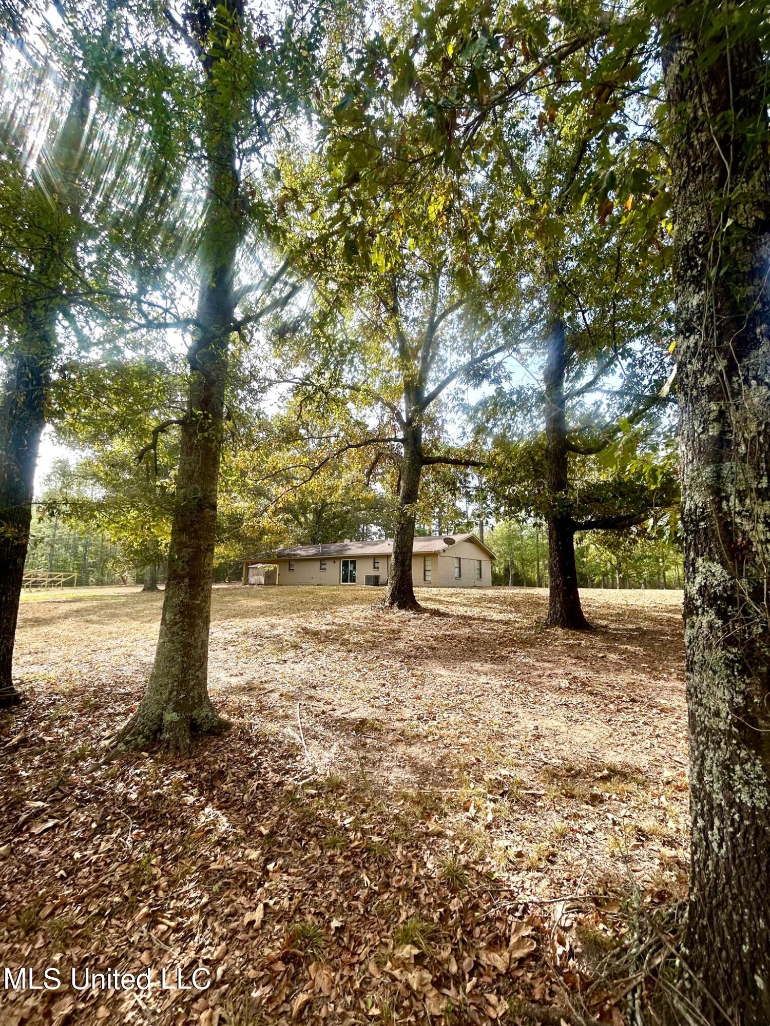 253 Horn Road Carthage, MS 39051 - Photo 8 of 29 IMG_4392