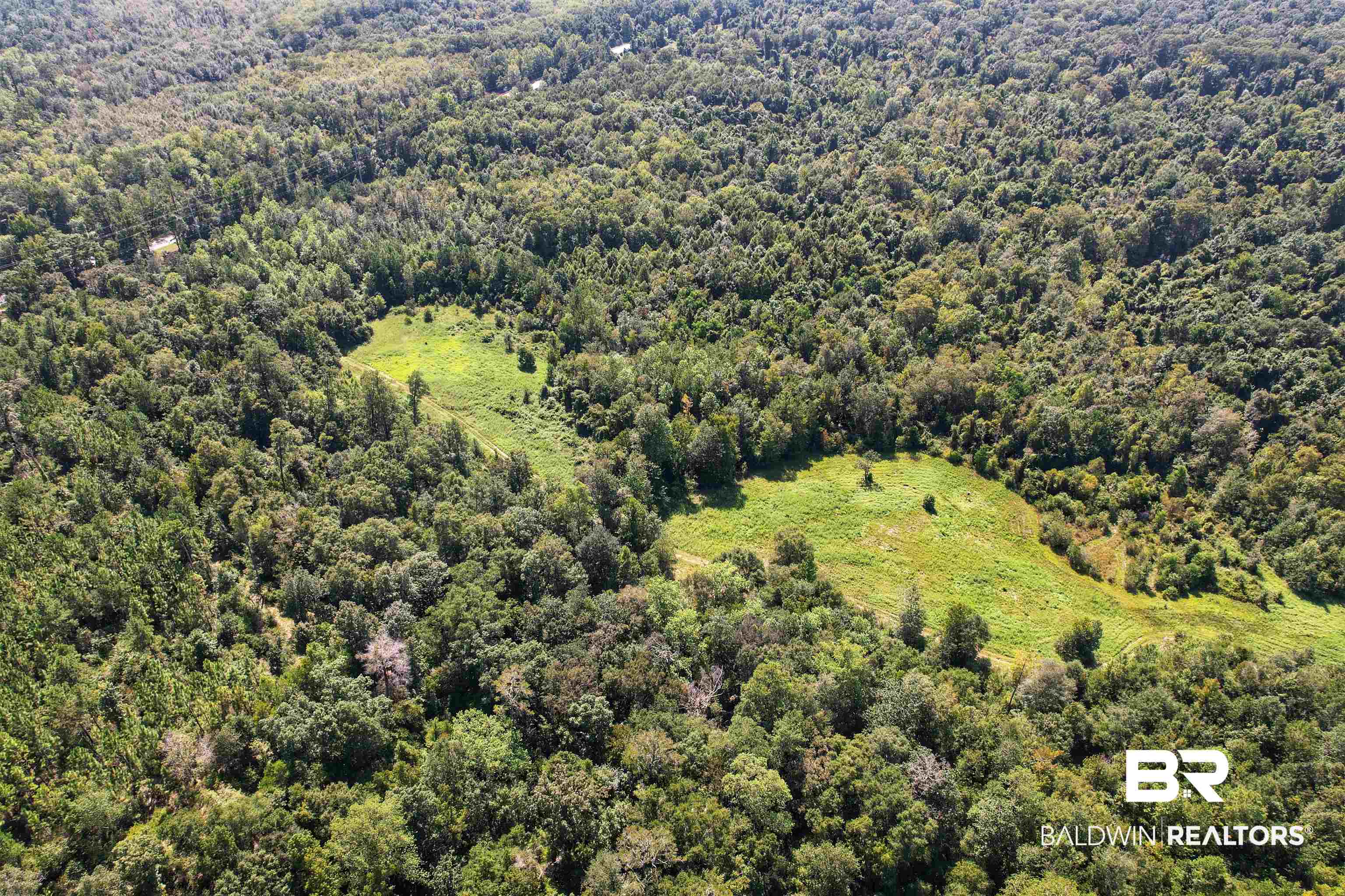 1 Highway 4 Jay, FL 32565 - Photo 46 of 50