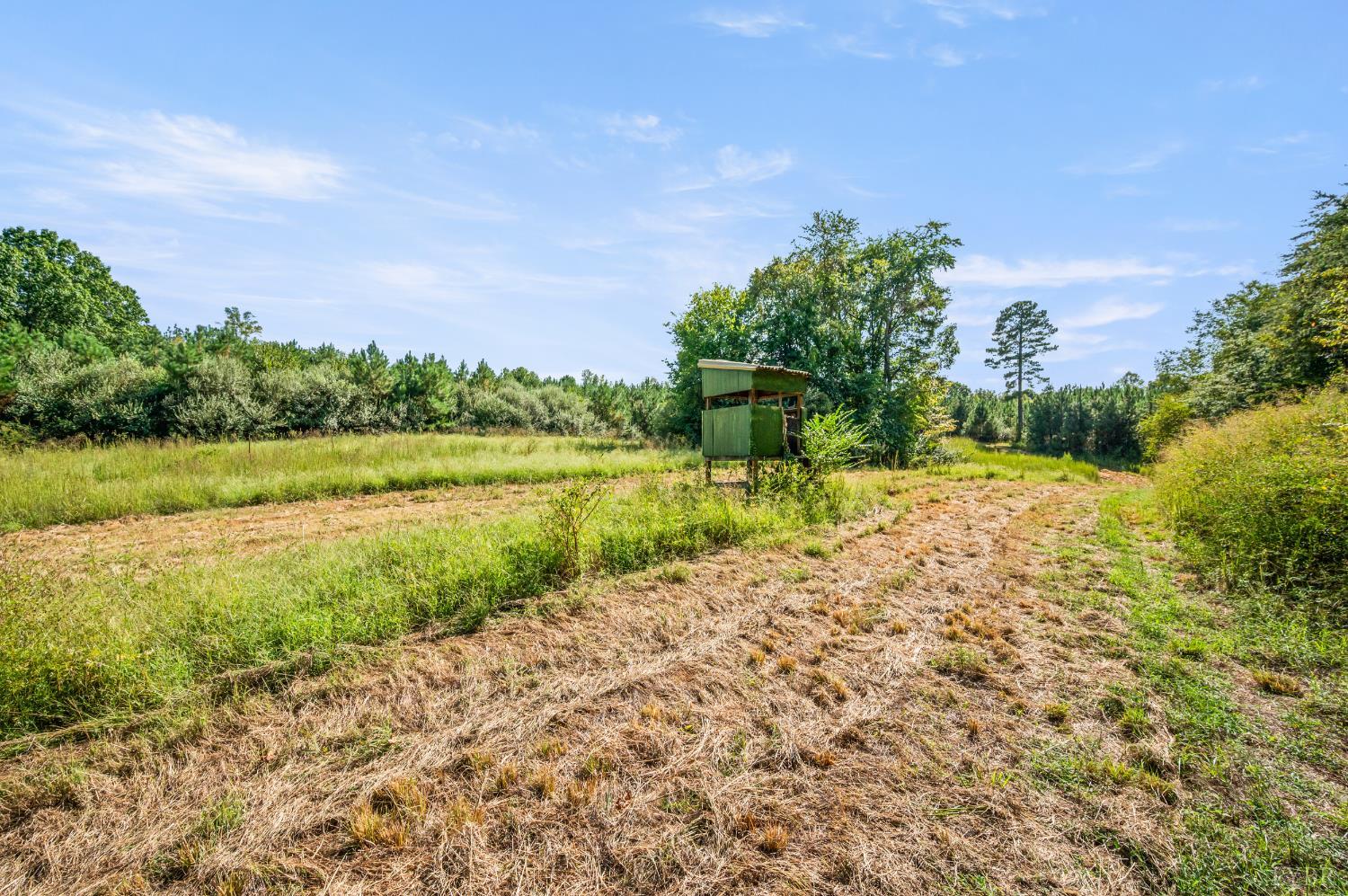 11271 Kentuck Road Sutherlin, VA 24594 - Photo 63 of 81 Gallery Image 63