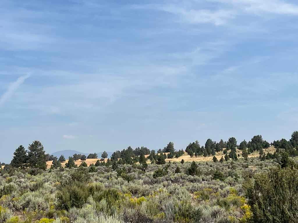 Yellow Jacket Springs Road, Unit 1200 Beatty, OR 97621 - Photo 14 of 32 IMG_6621