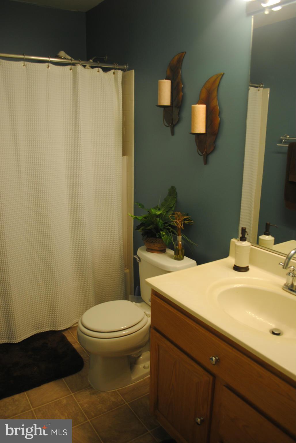 8731 Spring Brook Way Odenton, MD 21113 - Photo 17 of 24 Min bath