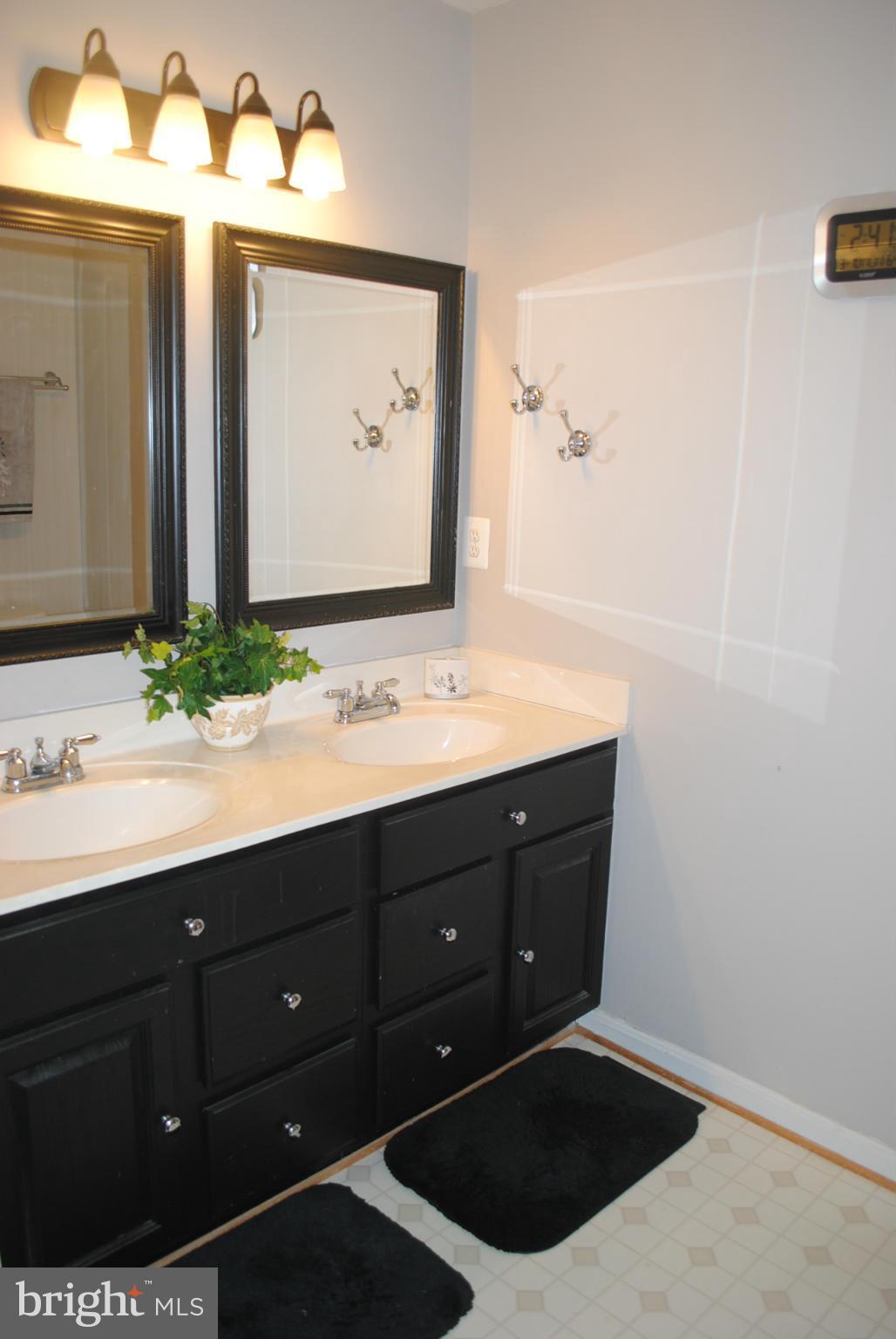 8731 Spring Brook Way Odenton, MD 21113 - Photo 21 of 24 Bath (Master)