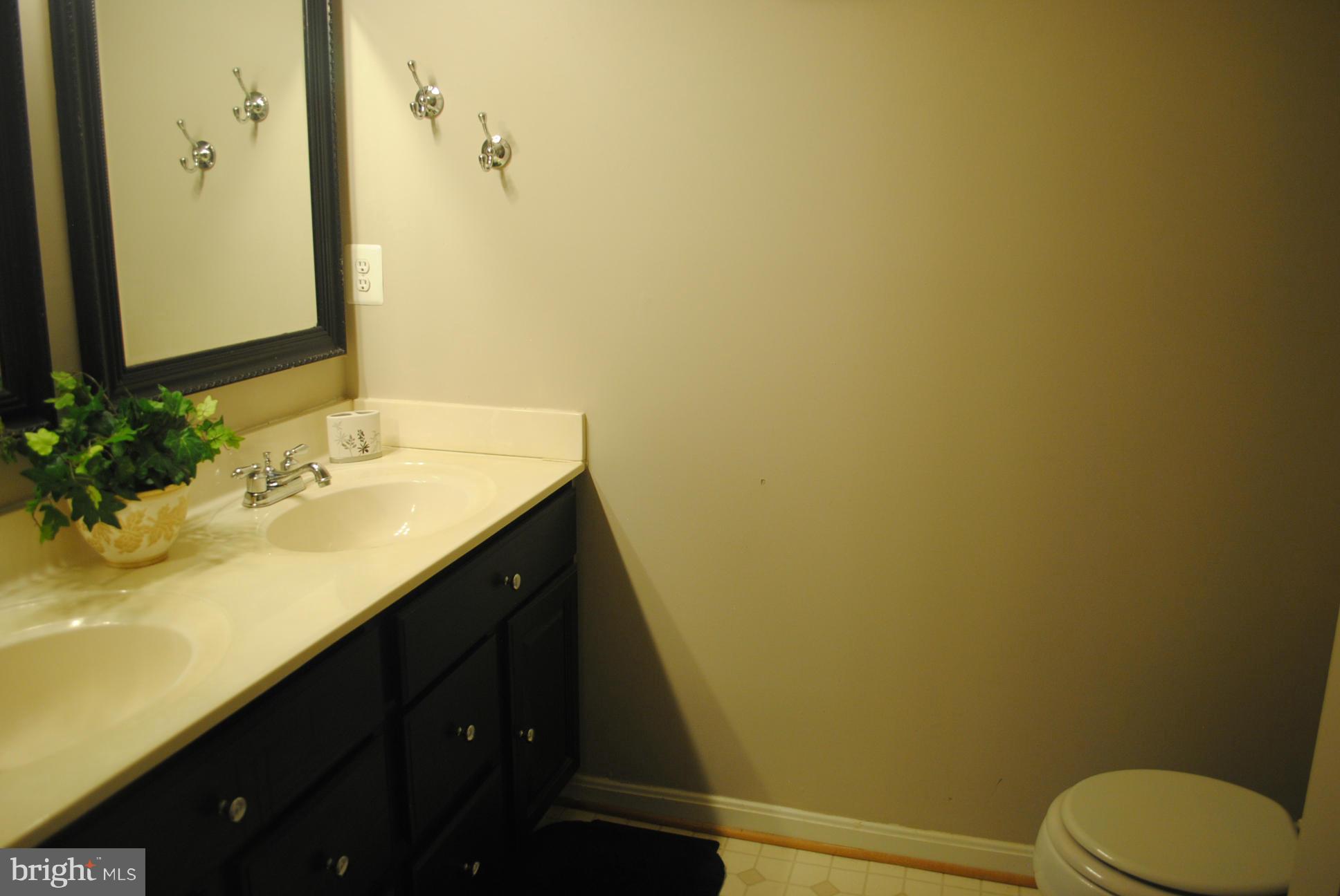 8731 Spring Brook Way Odenton, MD 21113 - Photo 22 of 24 Bath (Master)