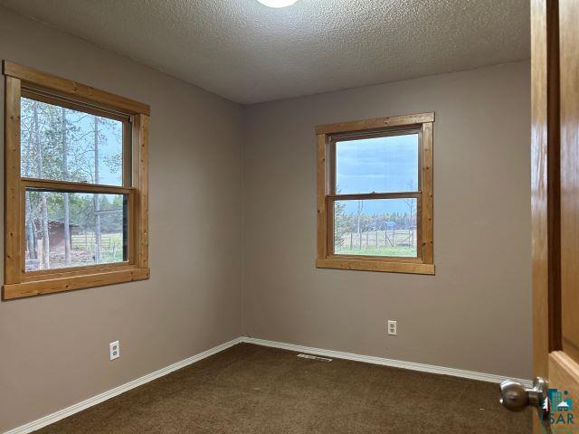 8353 Mannik Road Iron River, WI 54847 - Photo 51 of 52 Spare room with a textured ceiling and carpet
