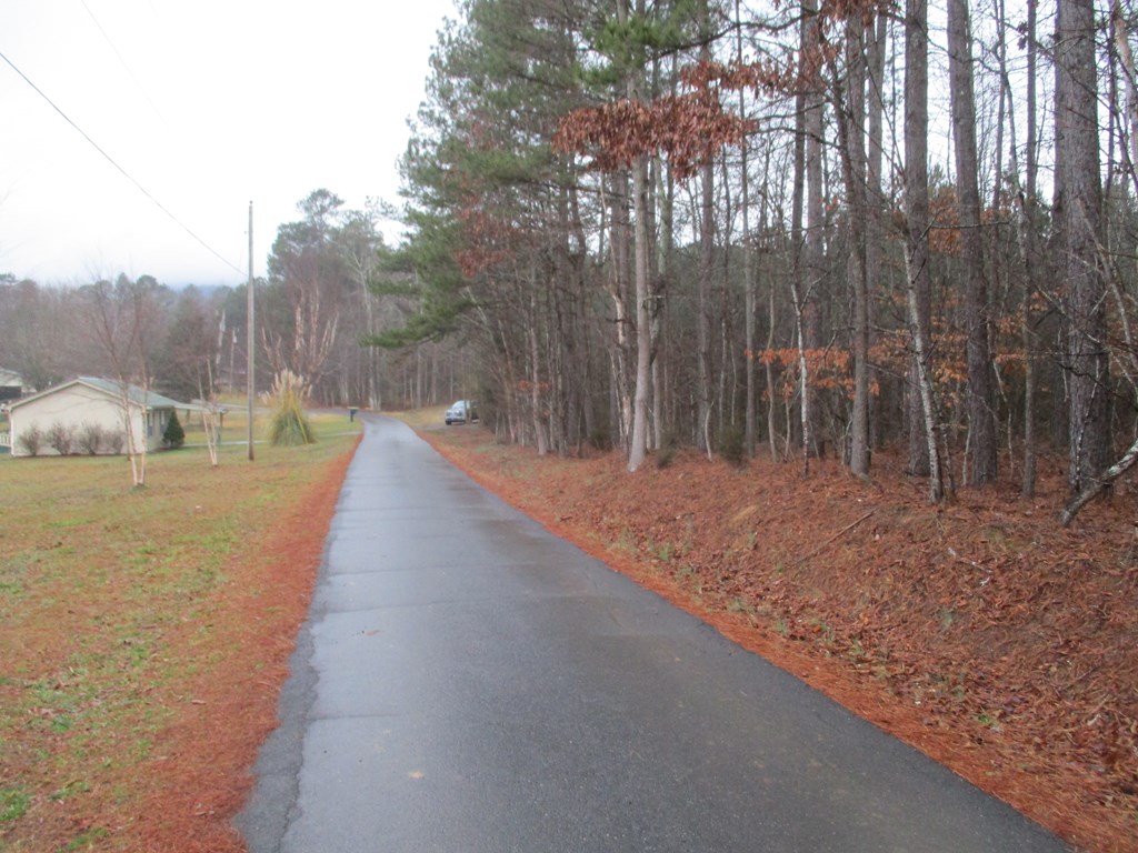 0 Southwest Baker Road Calhoun, GA 30701 - Photo 3 of 8