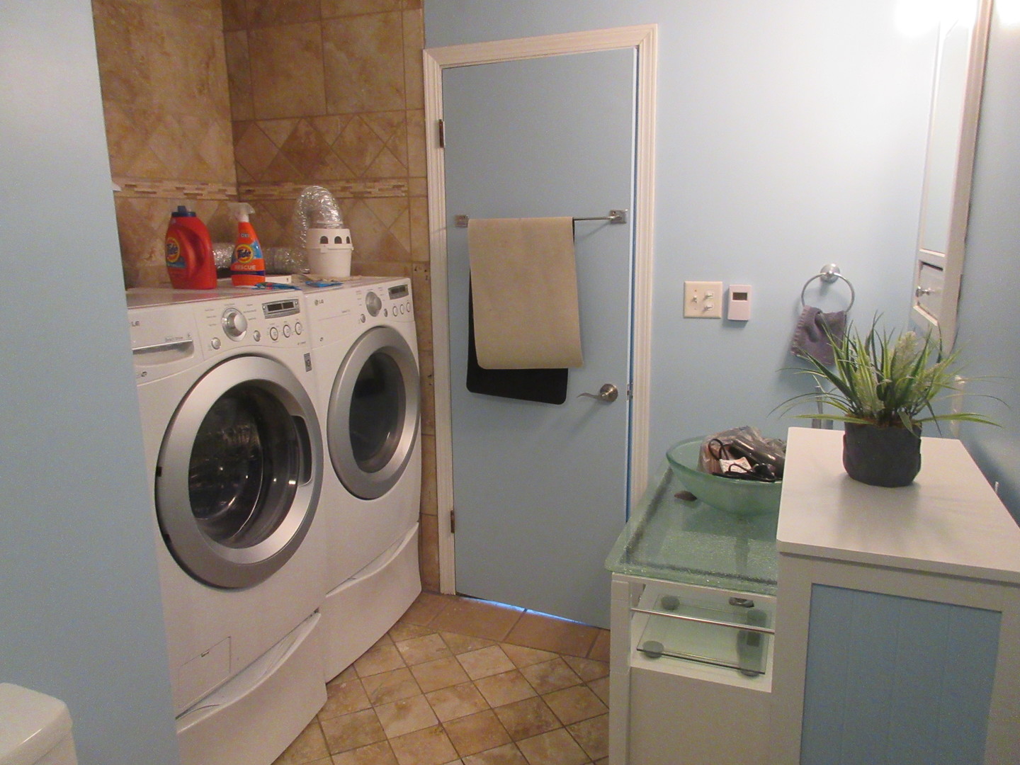 20172 Prophet Road Prophetstown, IL 61277 - Photo 12 of 32 a view of bathroom with a potted plant on a counter and a sink