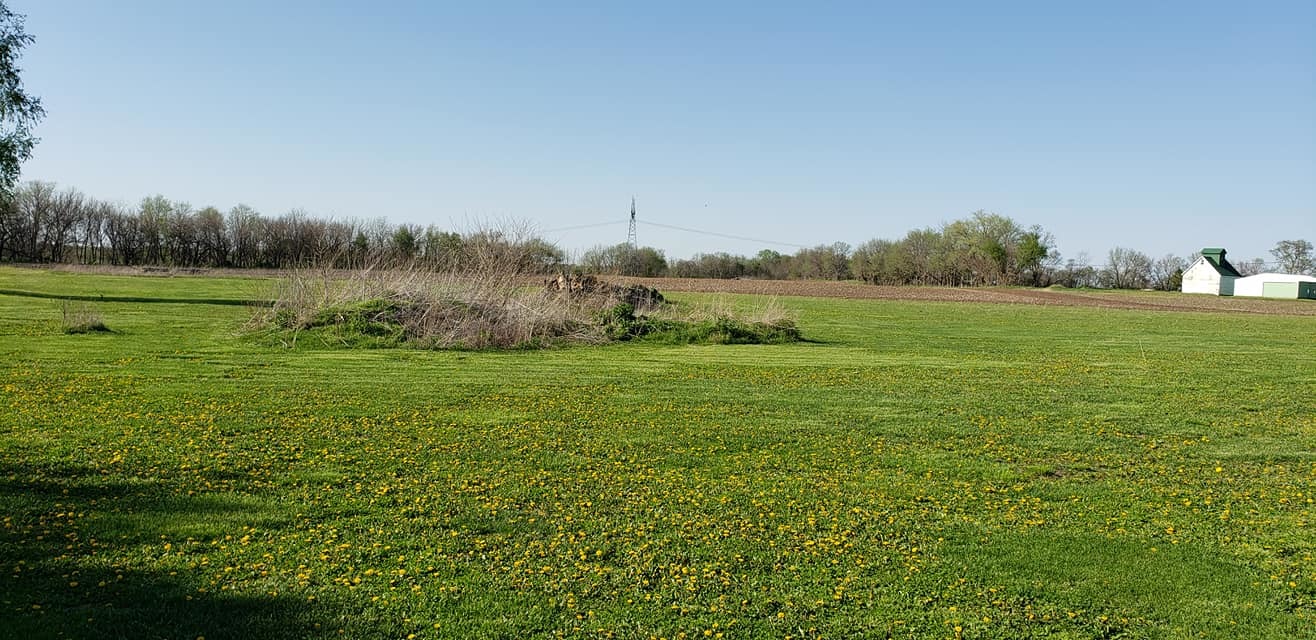 20172 Prophet Road Prophetstown, IL 61277 - Photo 27 of 32 a view of a lake from a yard