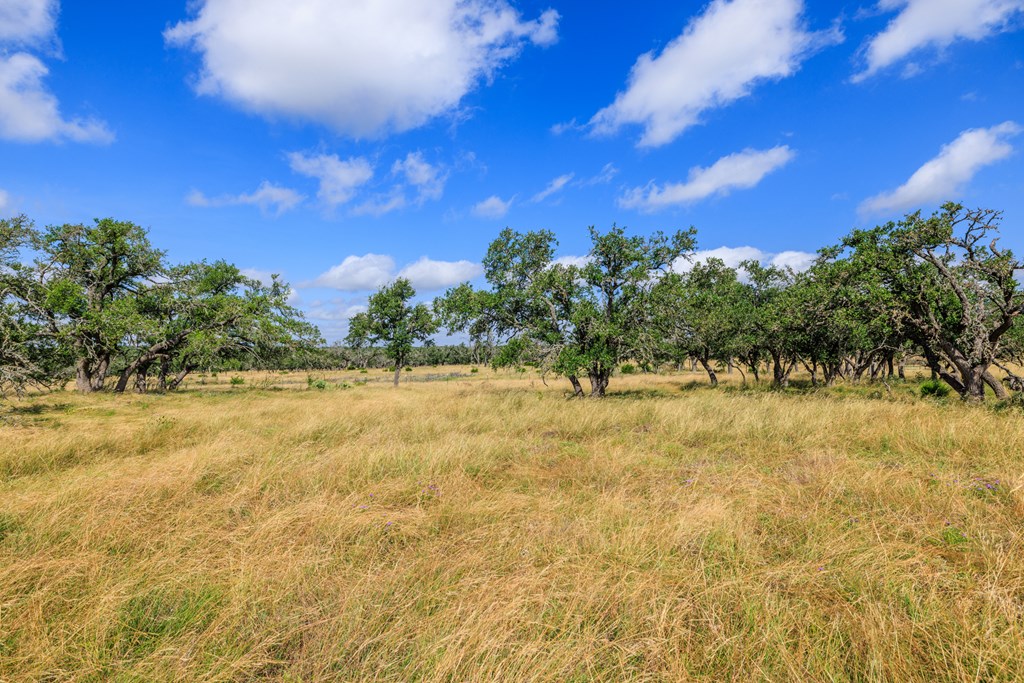 436 Stevens Ranch Road, Unit 8 Harper, TX 78631 - Photo 7 of 25