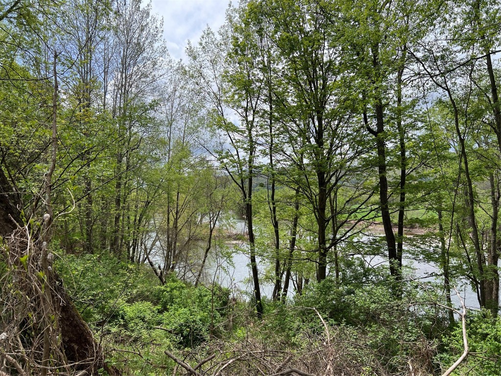 245 Dutchtown Road Windsor, NY 13826 - Photo 8 of 30